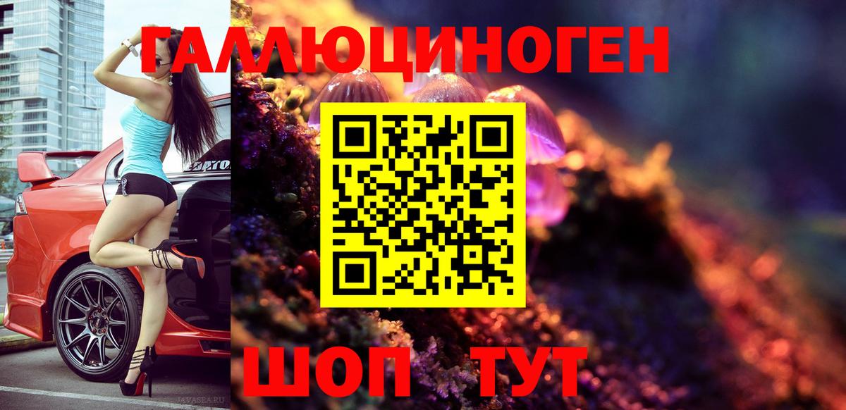 Галлюциногенные грибы MAGIC MUSHROOMS  Вход с VPN  Хасавюрт 