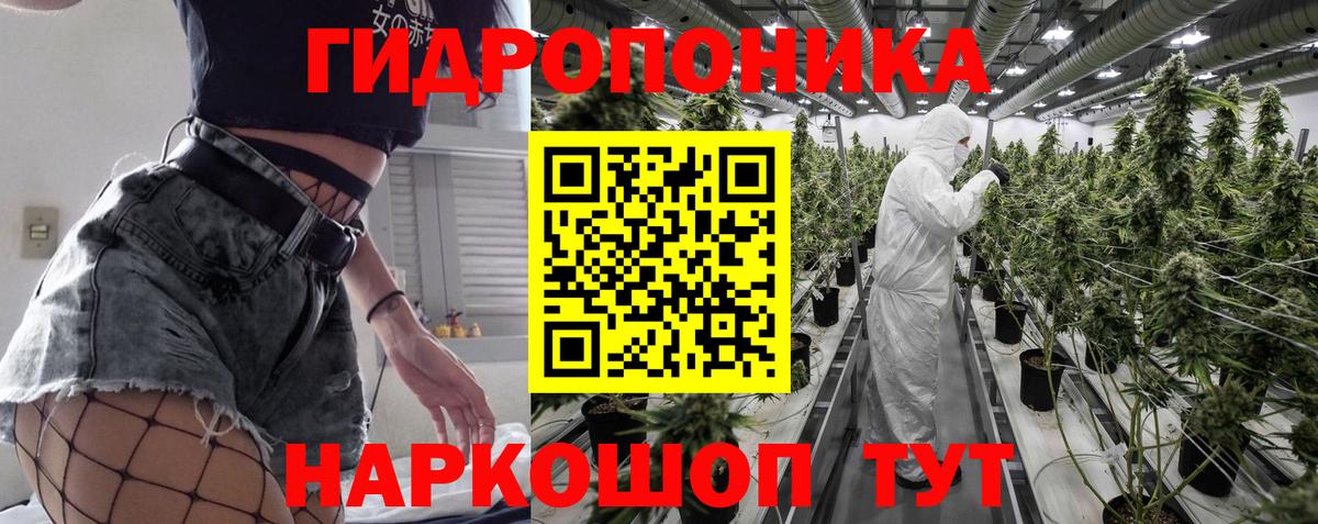 Канабис семена Хасавюрт